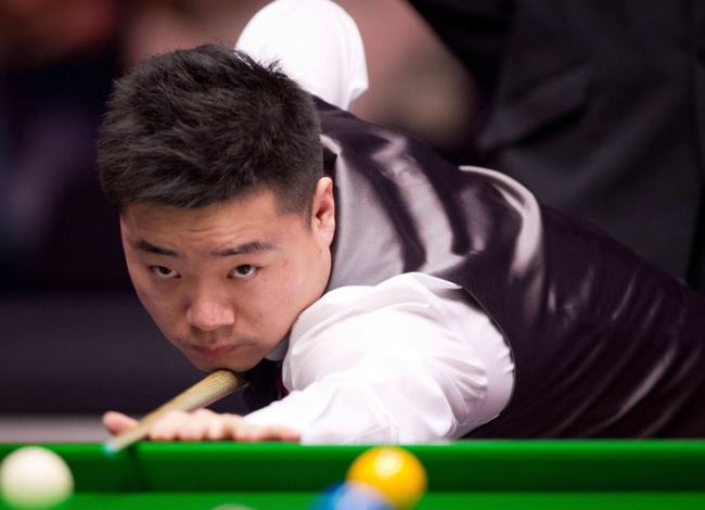 游泳队整体 游泳队整体