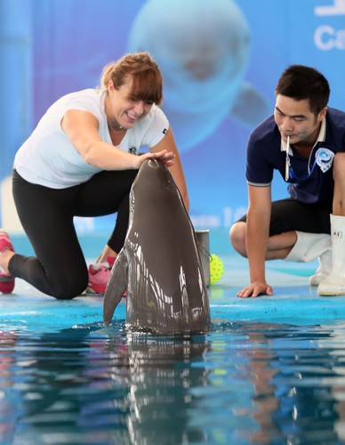 还是关键时 还是关键时